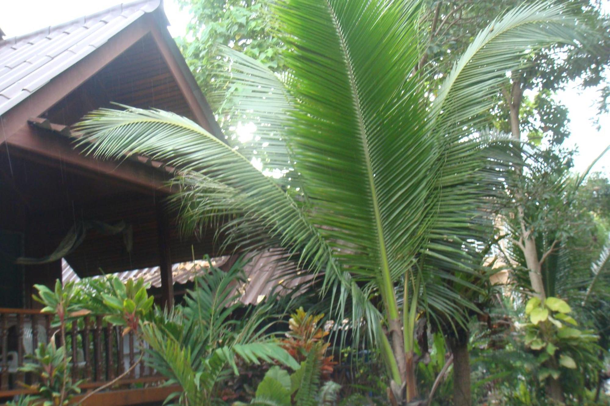 Silver Sands Resort - เกาะเต่า ภายนอก รูปภาพ
