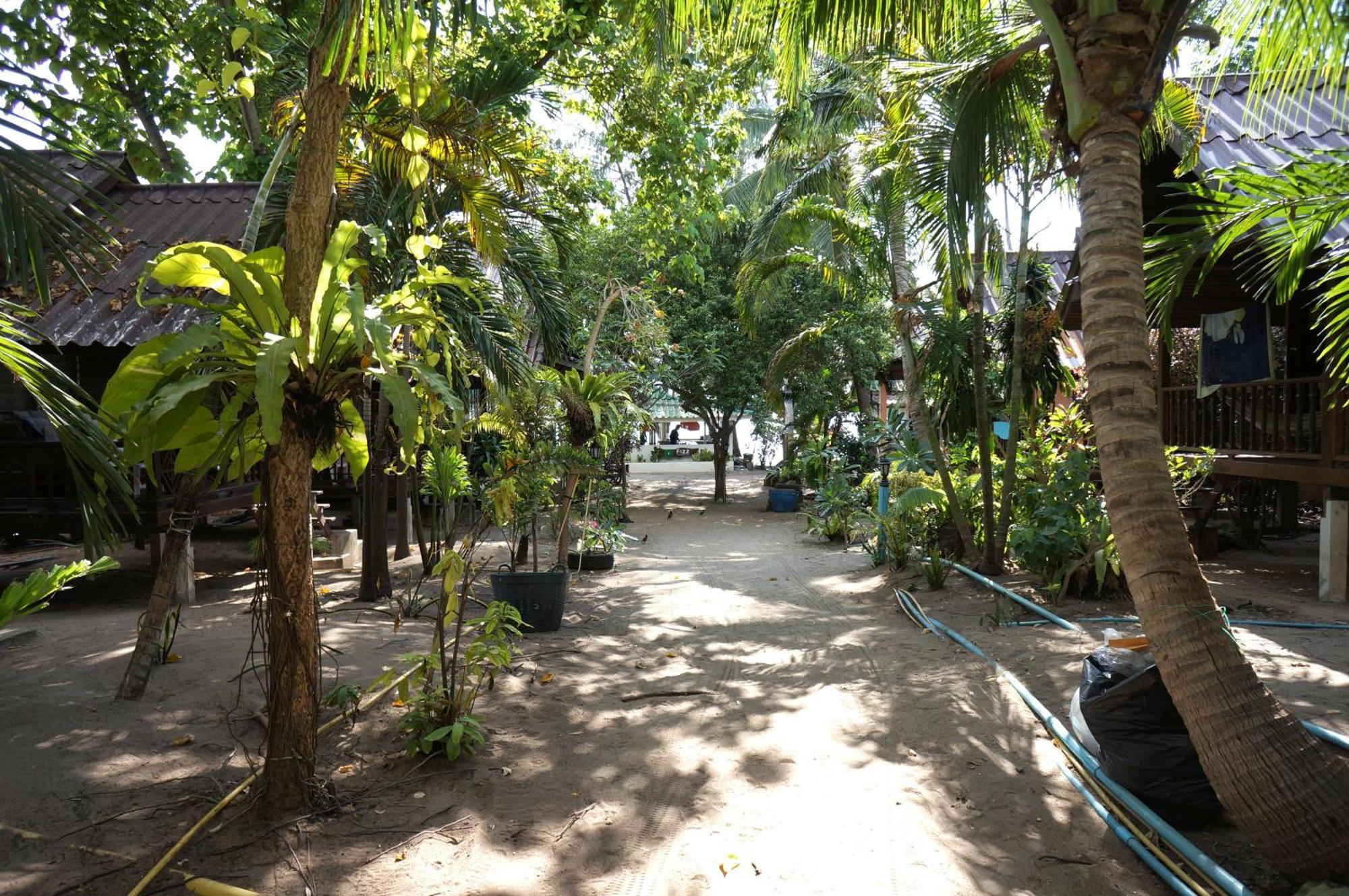 Silver Sands Resort - เกาะเต่า ภายนอก รูปภาพ
